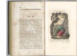 Bildliche Darstellung der Geschichte des alten Testaments, Prag 1827