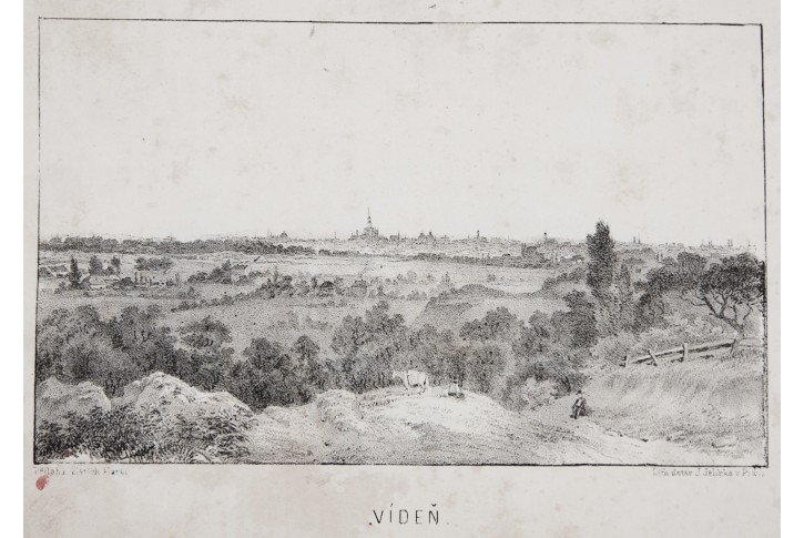 Vídeň - Wien, Zlaté klasy, litografie, (1860)
