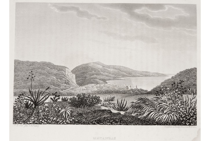 Matanzas (Kuba), oceloryt, (1850)