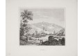 Juma , Meyer, oceloryt, 1850
