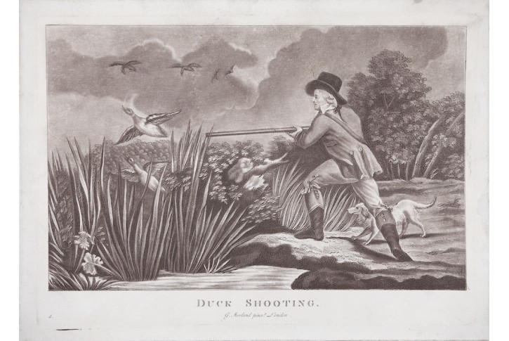 Lov na kachny, Morland, akvatita, (1800)