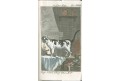 Buffon G.: Naturgesch. Vierfüßigen 2., Opava 1785