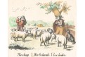 Ovce, kolor. litografie, 1860
