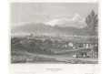 Birmingham, Meyer, oceloryt, 1850