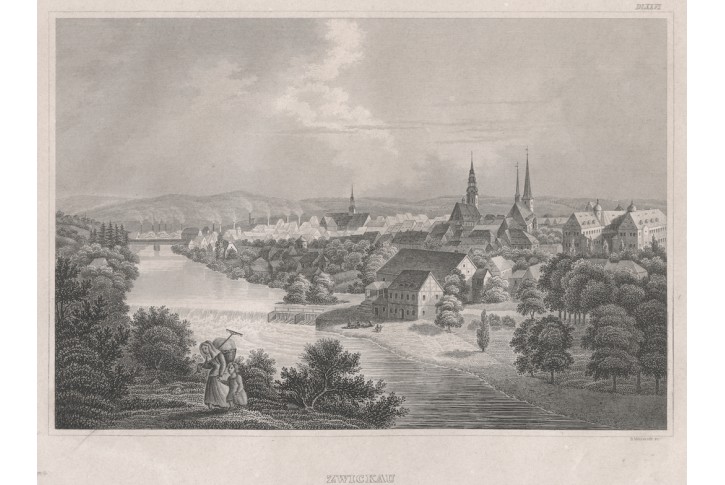 Zwickau, Meyer, oceloryt, 1850