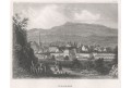 Kissingen, Meyer, oceloryt, 1850