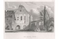 Paulinzella, Meyer, oceloryt, 1850