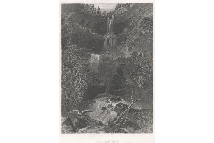 Catteshill Fall ,oceloryt, 1850