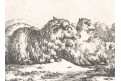 Potter- Bye : Ovce I., mědiryt 1664