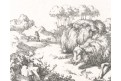 Potter- Bye : Ovce II., mědiryt 1664
