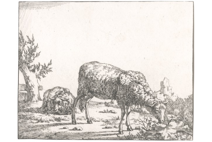 Potter- Bye : Ovce III., mědiryt 1664