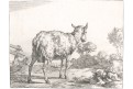 Potter- Bye : Ovce V., mědiryt 1664