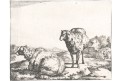 Potter- Bye : Ovce VI., mědiryt 1664