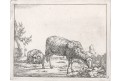 Potter- Bye : Ovce VII., mědiryt 1664