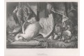 Zátiší, Payne, oceloryt, 1850