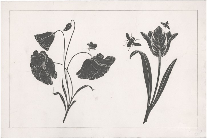 Silueta vystřižená květiny , konec 19. stol.