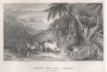 Madagaskar Dauphin, Meyer, oceloryt, 1850