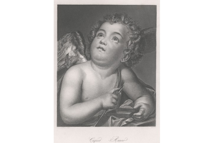 Amor, Payne, oceloryt, (1860)