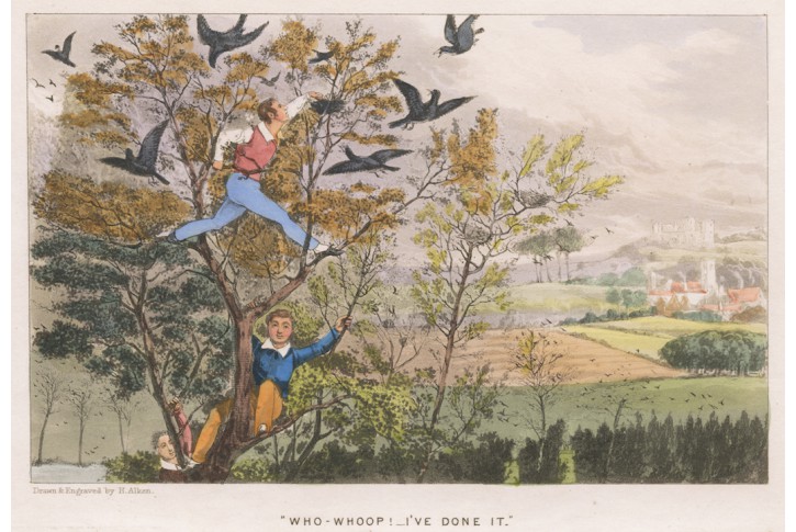  útok na hnízdo, Alken,  kolor. lito. , (1850)