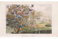  útok na hnízdo, Alken,  kolor. lito. , (1850)