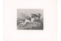 Lov na srnce, mědiryt, (1850)