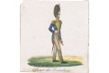 Granátník, kolor. litografie (1850)
