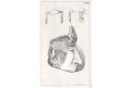 Anatomie I, litografie, (1850)