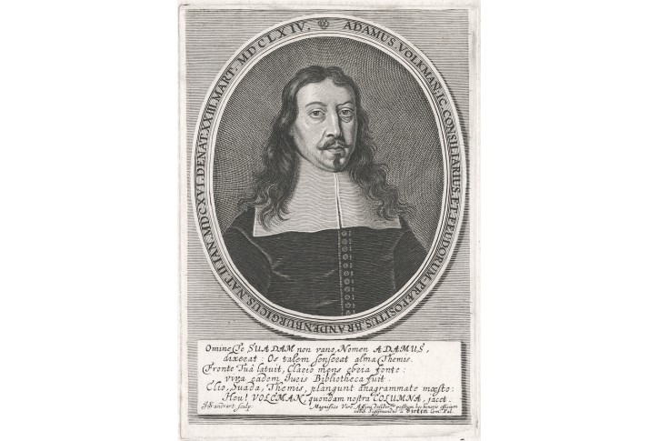 Volkman A., Sandrart, mědiryt , (1700)