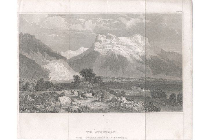 Jungfrau, Meyer, oceloryt, 1850