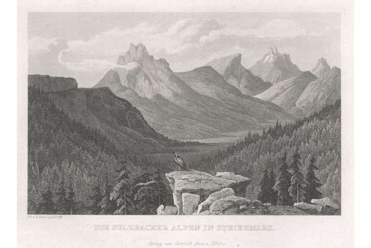 Sulzbacher Alpen, Haase, oceloryt 1846
