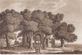 Egypt Suit, Döbler , akvatinta, 1819