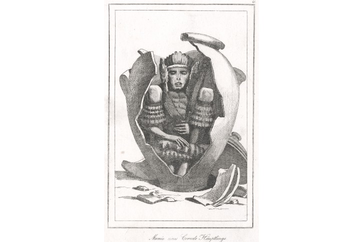 Brazilie Mumie Corudo, Le Bas, oceloryt 1846