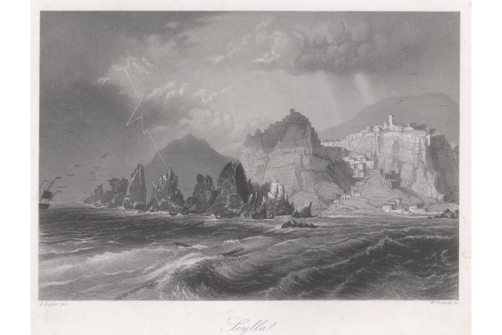 Scilla, Payne, oceloryt 1860