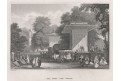 Göksu Turecko, Meyer, oceloryt, 1850