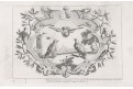 Barlow , Ptactvo, mědiryt 1704